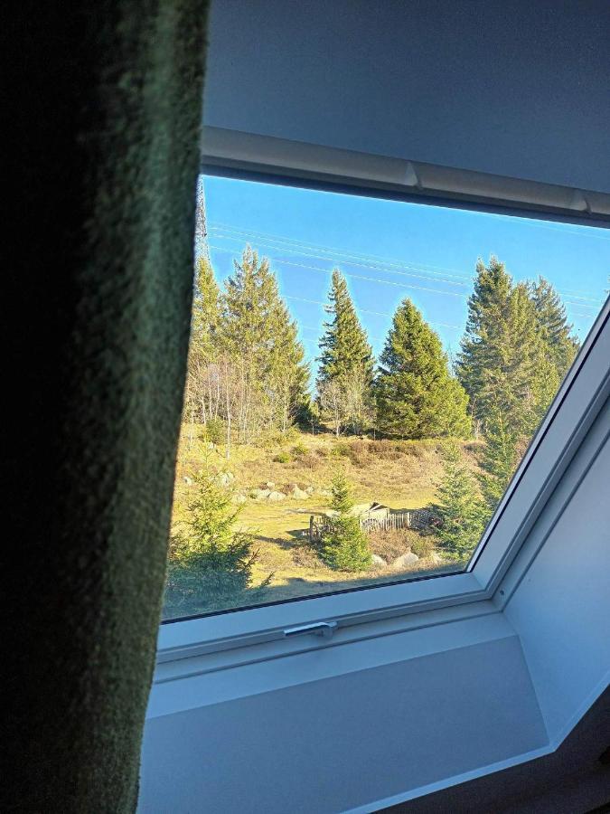 Terre De Sapins - Gites Nature Haut De Gamme Avec Sauna Au Coeur Du Lac Blanc Orbey Exteriör bild