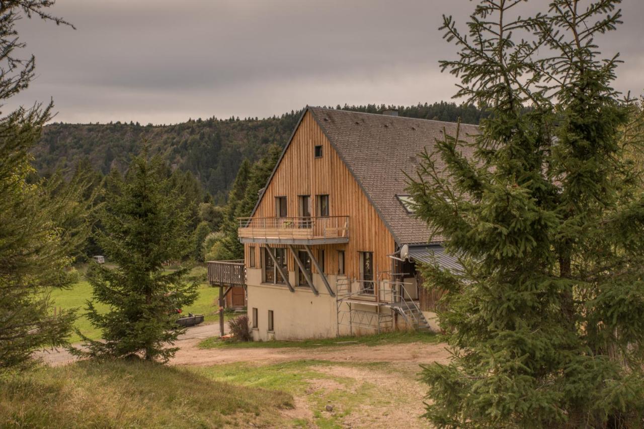 Terre De Sapins - Gites Nature Haut De Gamme Avec Sauna Au Coeur Du Lac Blanc Orbey Exteriör bild