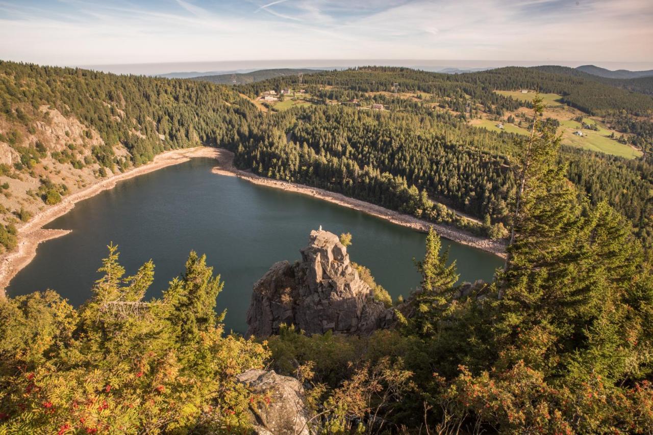 Terre De Sapins - Gites Nature Haut De Gamme Avec Sauna Au Coeur Du Lac Blanc Orbey Exteriör bild